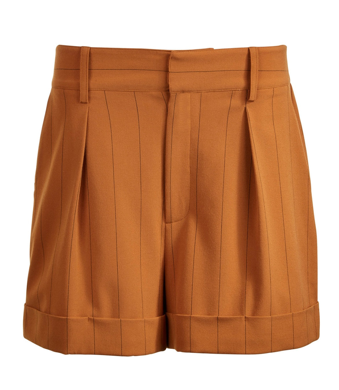 Danielle Bernstein Women's Striped Pleated Shorts Honey Pinstriped