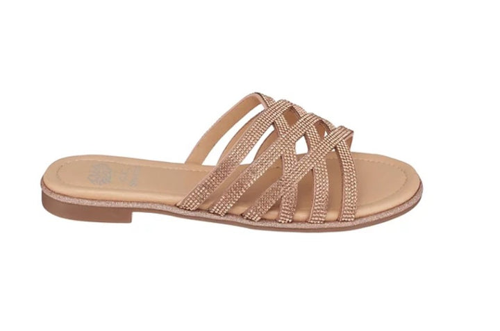 GC Shoes Women&