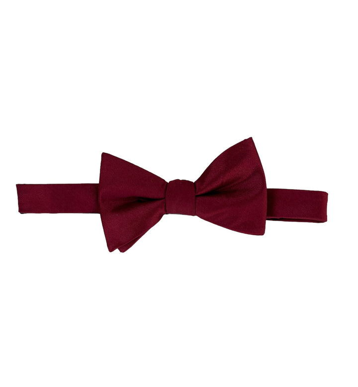 Alfani Men's Adjustable Self-Tied Bow Tie Wine Red One Size